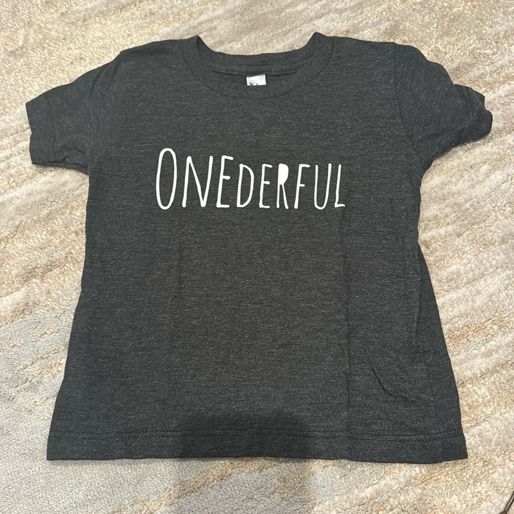 American Apparel dark grey tshirt. Says “ONEderful”  worn once. 12-18 months